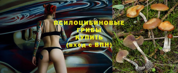apvp Алзамай