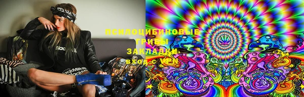 СК Алексеевка